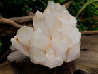 Natural Large Clear Quartz Cluster x 1 From Madagascar