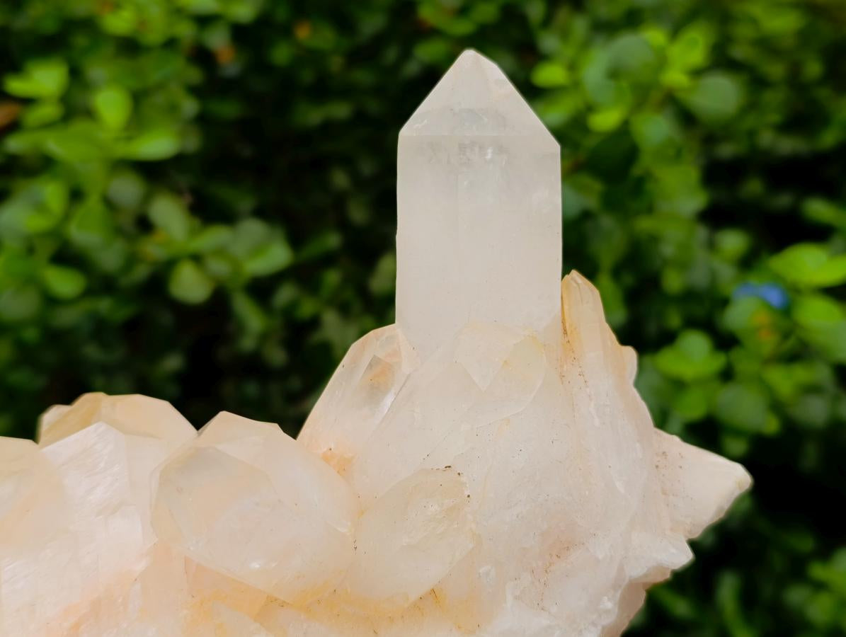 Natural Large Clear Quartz Cluster x 1 From Madagascar