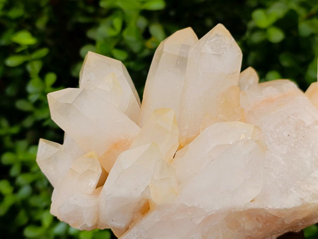 Natural Large Clear Quartz Cluster x 1 From Madagascar