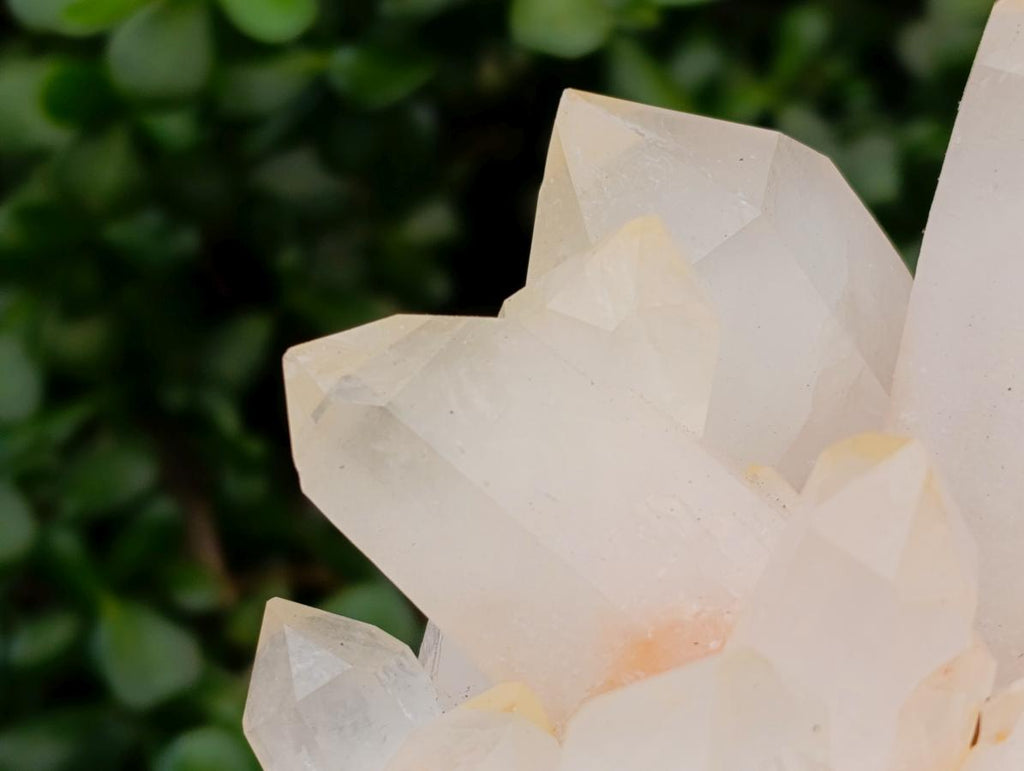 Natural Large Clear Quartz Cluster x 1 From Madagascar
