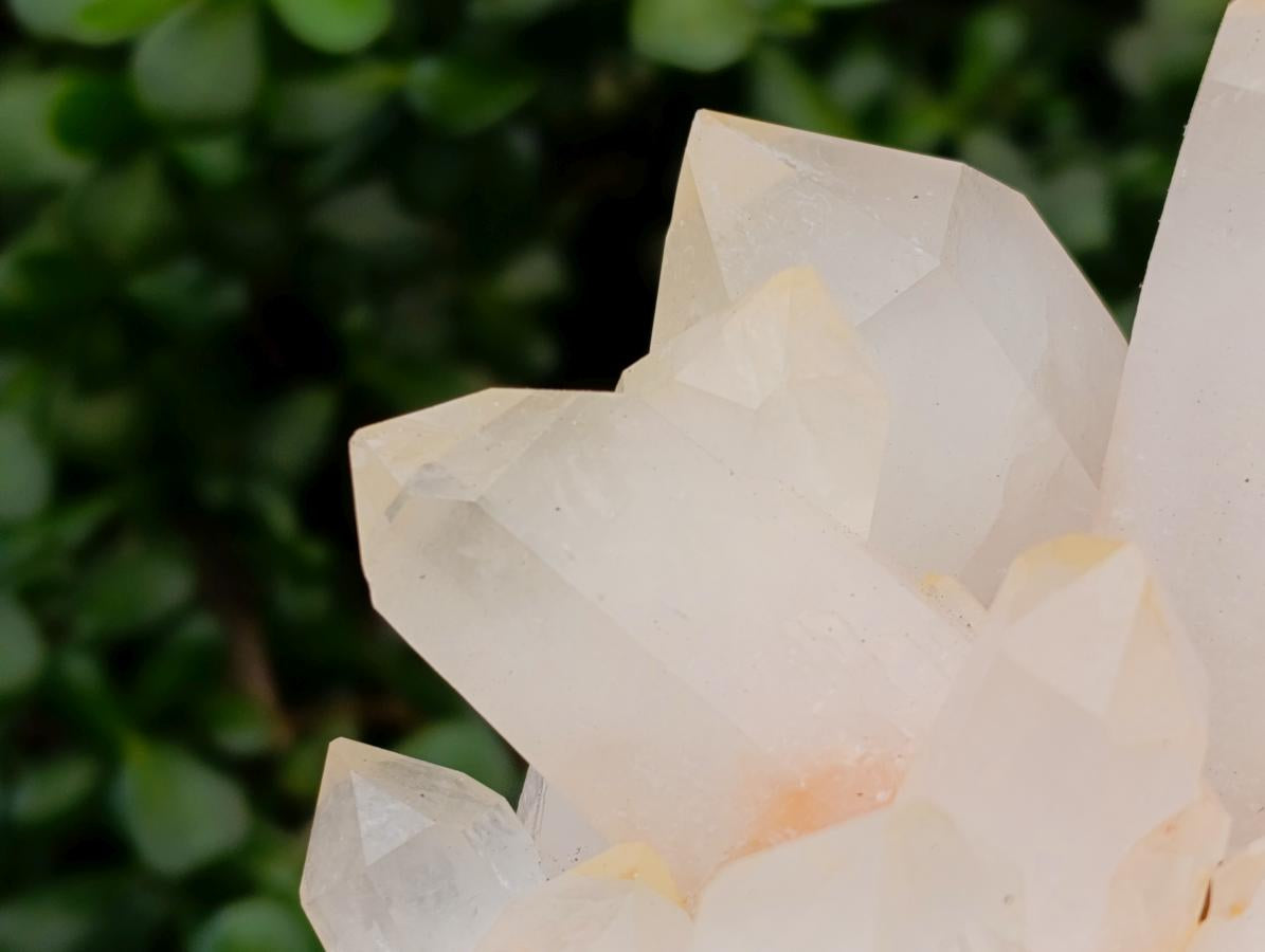 Natural Large Clear Quartz Cluster x 1 From Madagascar