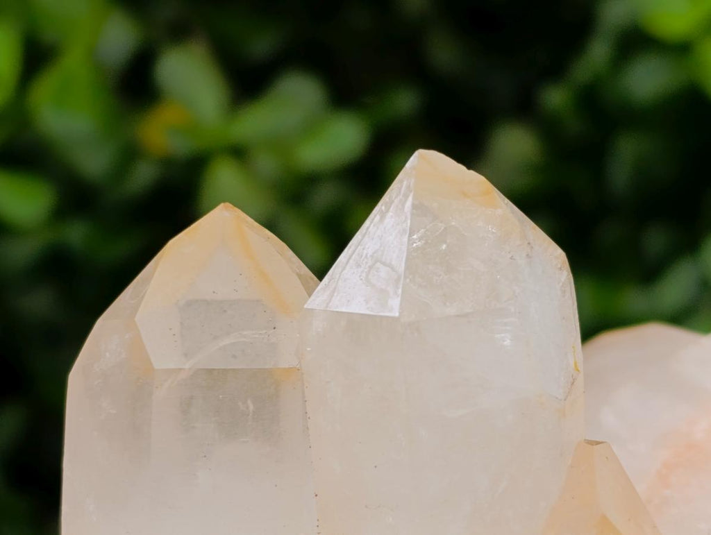 Natural Large Clear Quartz Cluster x 1 From Madagascar