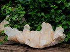 Natural Large Clear Quartz Cluster x 1 From Madagascar