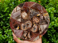 Hand Made Red Podocarpus Petrified Wood Conglomerate Plaques x 4 From Mahajanga, Madagascar