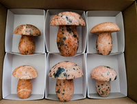 Polished Orange Calcite with Biotite Mica Mushrooms x 6 From Madagascar