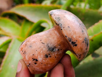 Polished Orange Calcite with Biotite Mica Mushrooms x 6 From Madagascar