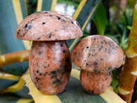 Polished Orange Calcite with Biotite Mica Mushrooms x 6 From Madagascar