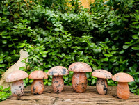 Polished Orange Calcite with Biotite Mica Mushrooms x 6 From Madagascar