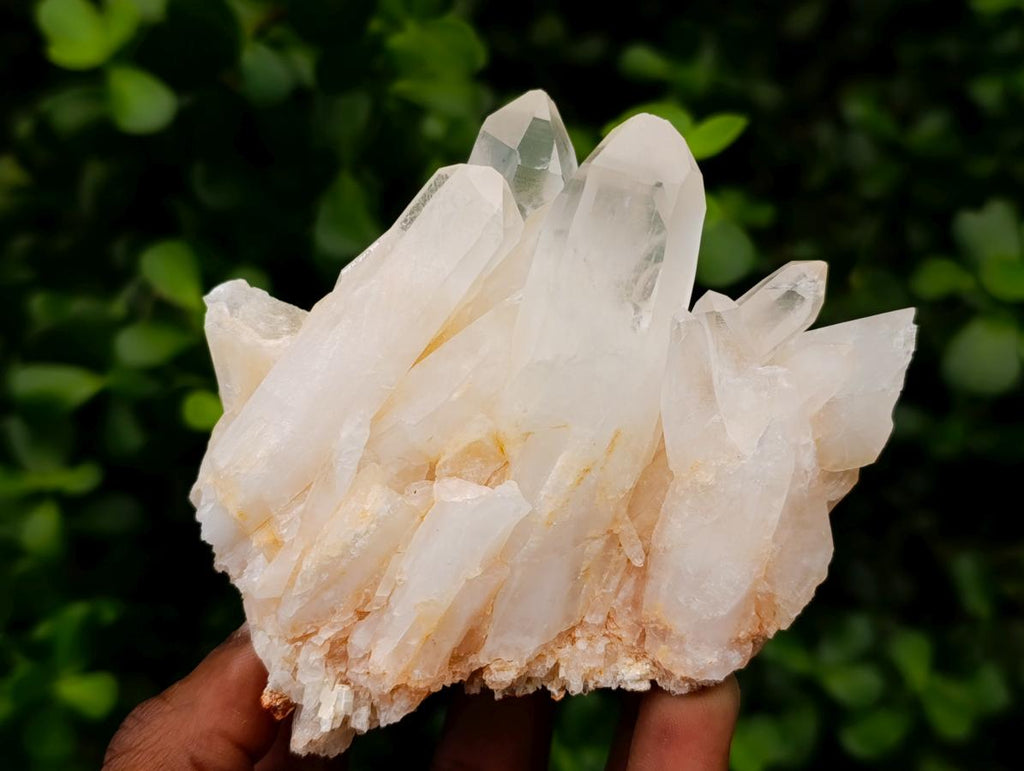 Natural Clear Quartz Clusters x 6 From Madagascar