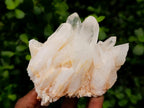 Natural Clear Quartz Clusters x 6 From Madagascar