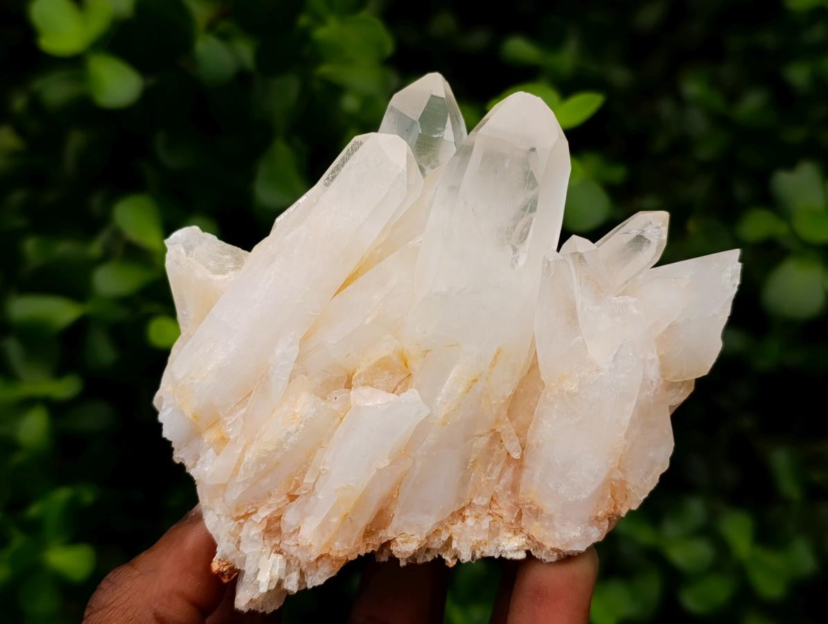Natural Clear Quartz Clusters x 6 From Madagascar