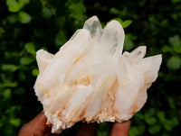 Natural Clear Quartz Clusters x 6 From Madagascar
