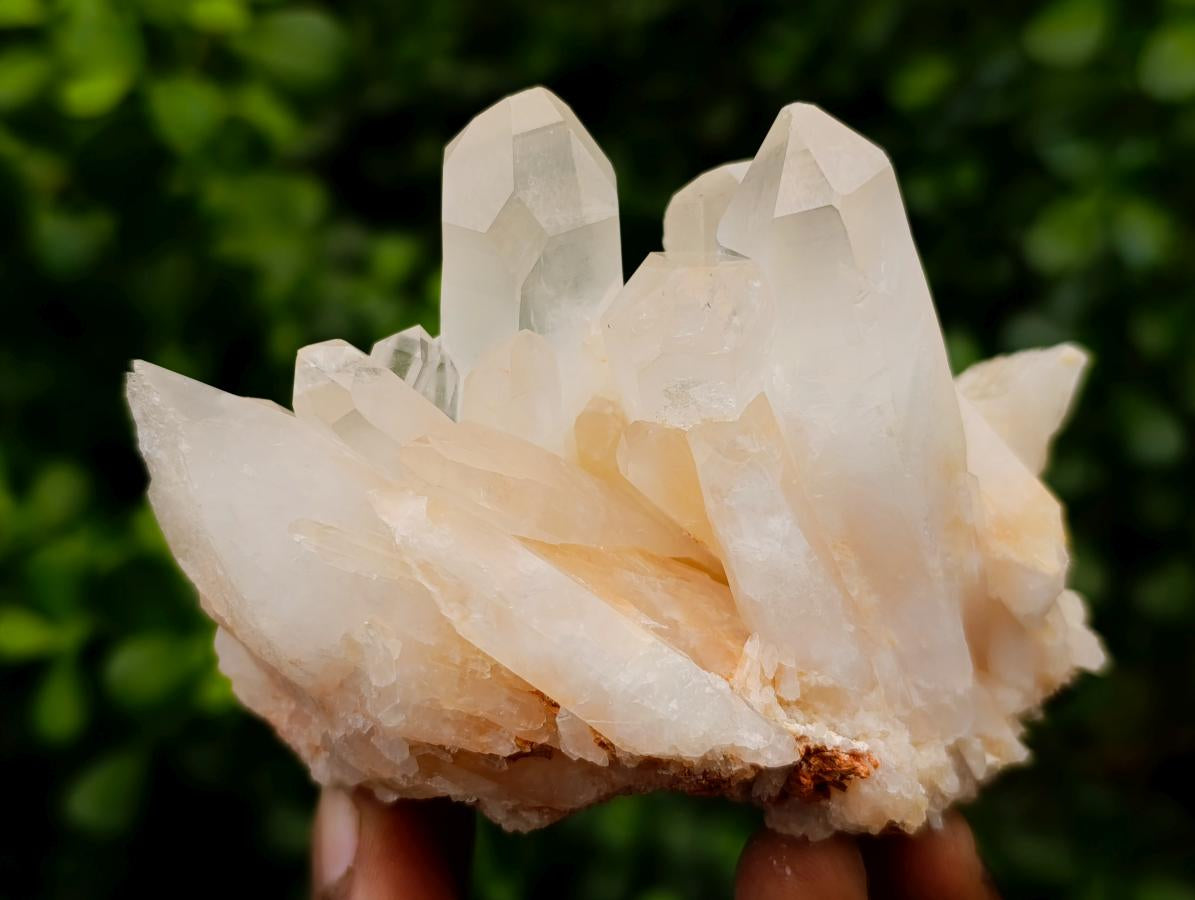 Natural Clear Quartz Clusters x 6 From Madagascar