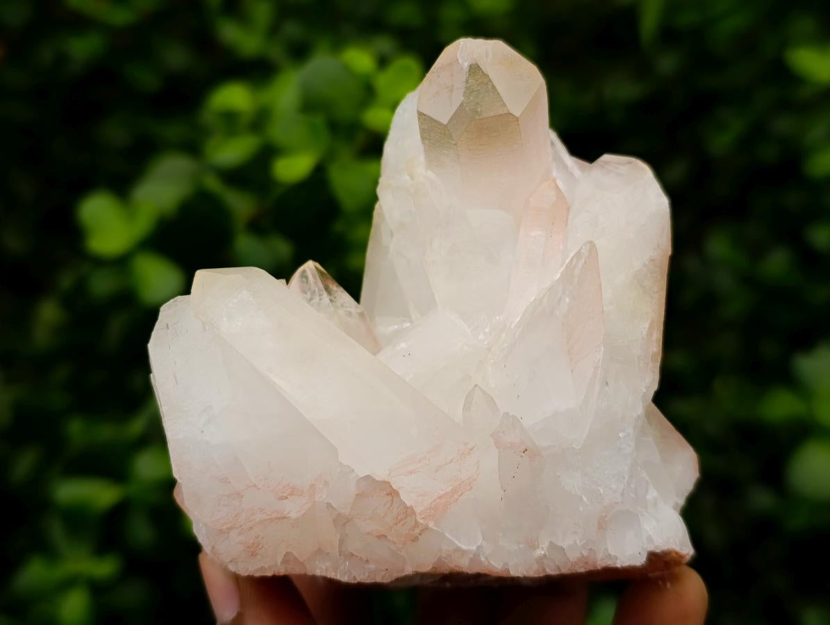 Natural Clear Quartz Clusters x 6 From Madagascar