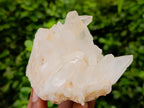 Natural Clear Quartz Clusters x 6 From Madagascar