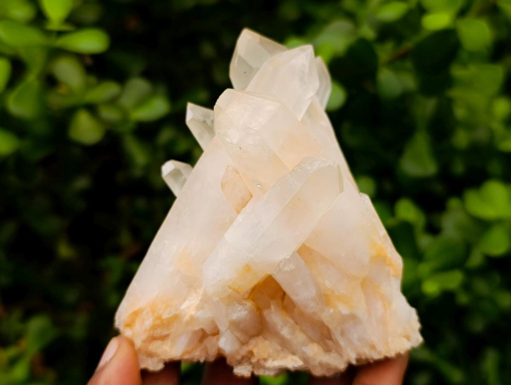 Natural Clear Quartz Clusters x 6 From Madagascar