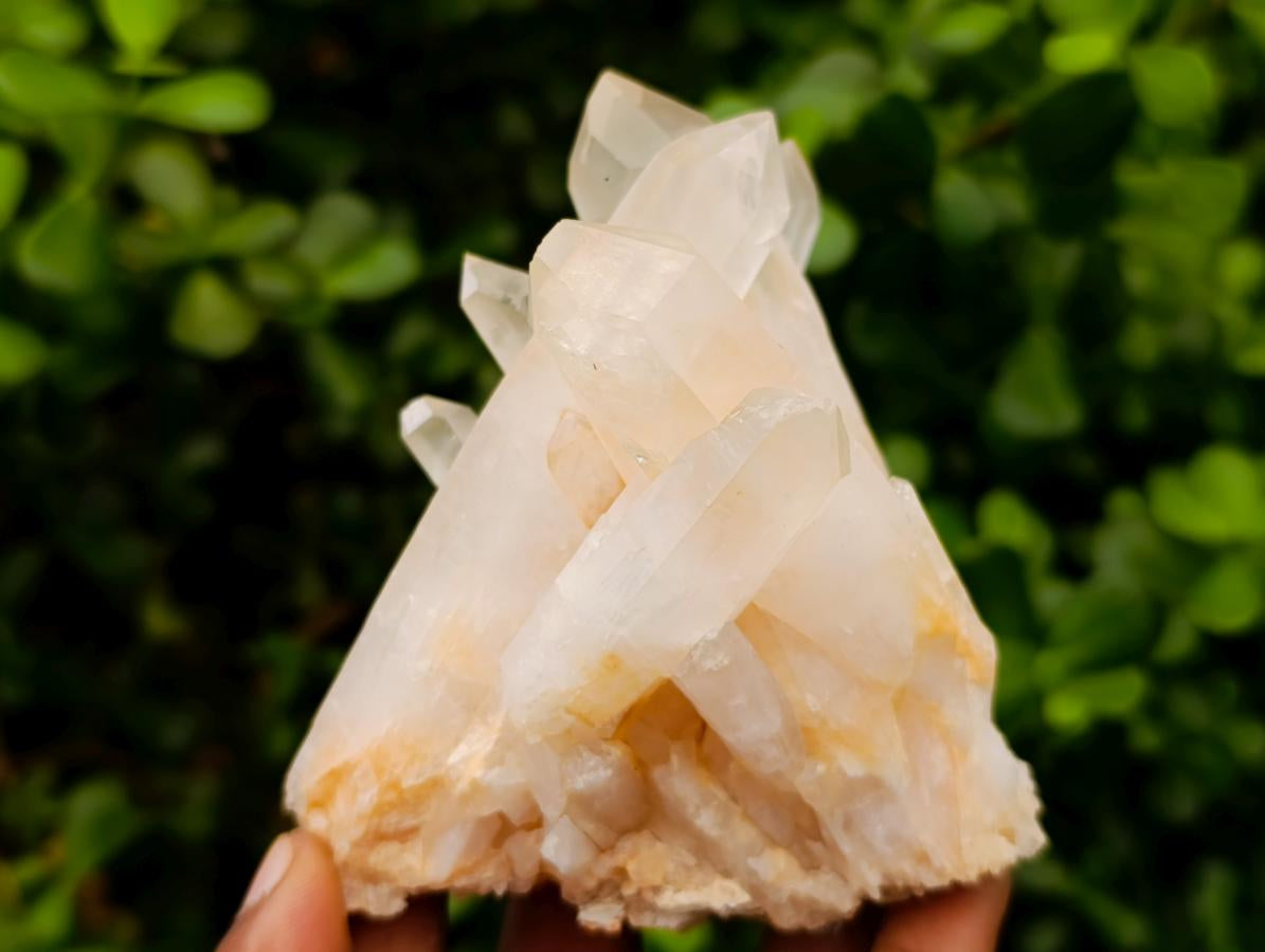 Natural Clear Quartz Clusters x 6 From Madagascar