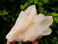 Natural Clear Quartz Clusters x 6 From Madagascar