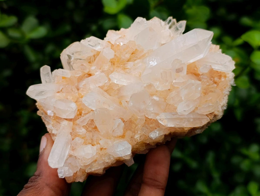 Natural Clear Quartz Clusters x 6 From Madagascar