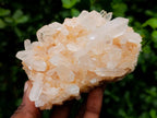 Natural Clear Quartz Clusters x 6 From Madagascar