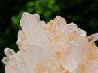 Natural Clear Quartz Clusters x 6 From Madagascar