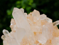 Natural Clear Quartz Clusters x 6 From Madagascar