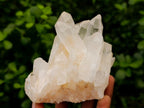 Natural Clear Quartz Clusters x 6 From Madagascar