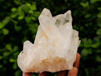 Natural Clear Quartz Clusters x 6 From Madagascar