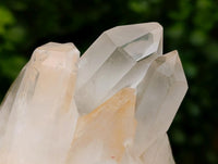 Natural Clear Quartz Clusters x 6 From Madagascar