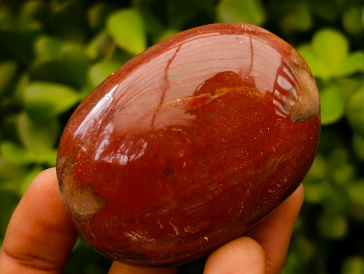 Polished Red Podocarpus Petrified Wood Palm Stones x 12 From Mahajanga, Madagascar