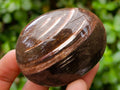 Polished Red Podocarpus Petrified Wood Palm Stones x 12 From Mahajanga, Madagascar