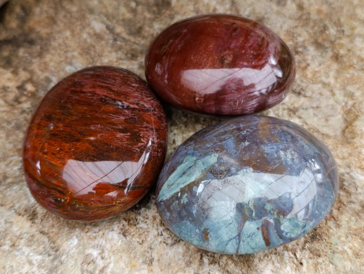 Polished Red Podocarpus Petrified Wood Palm Stones x 12 From Mahajanga, Madagascar