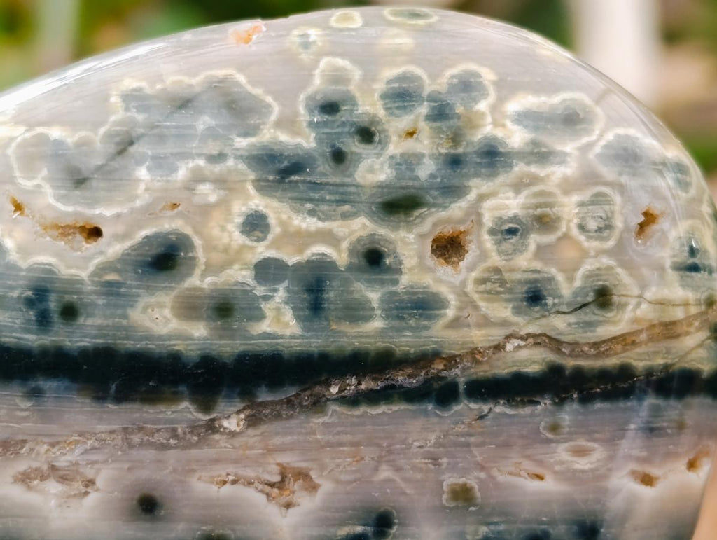 Polished Ocean Jasper Standing Free Forms x 2 From Northwest Coast, Madagascar