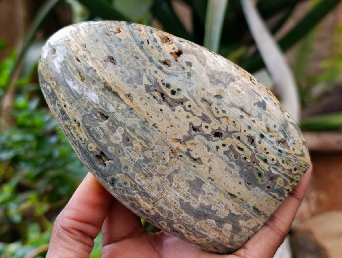 Polished Ocean Jasper Standing Free Forms x 2 From Northwest Coast, Madagascar