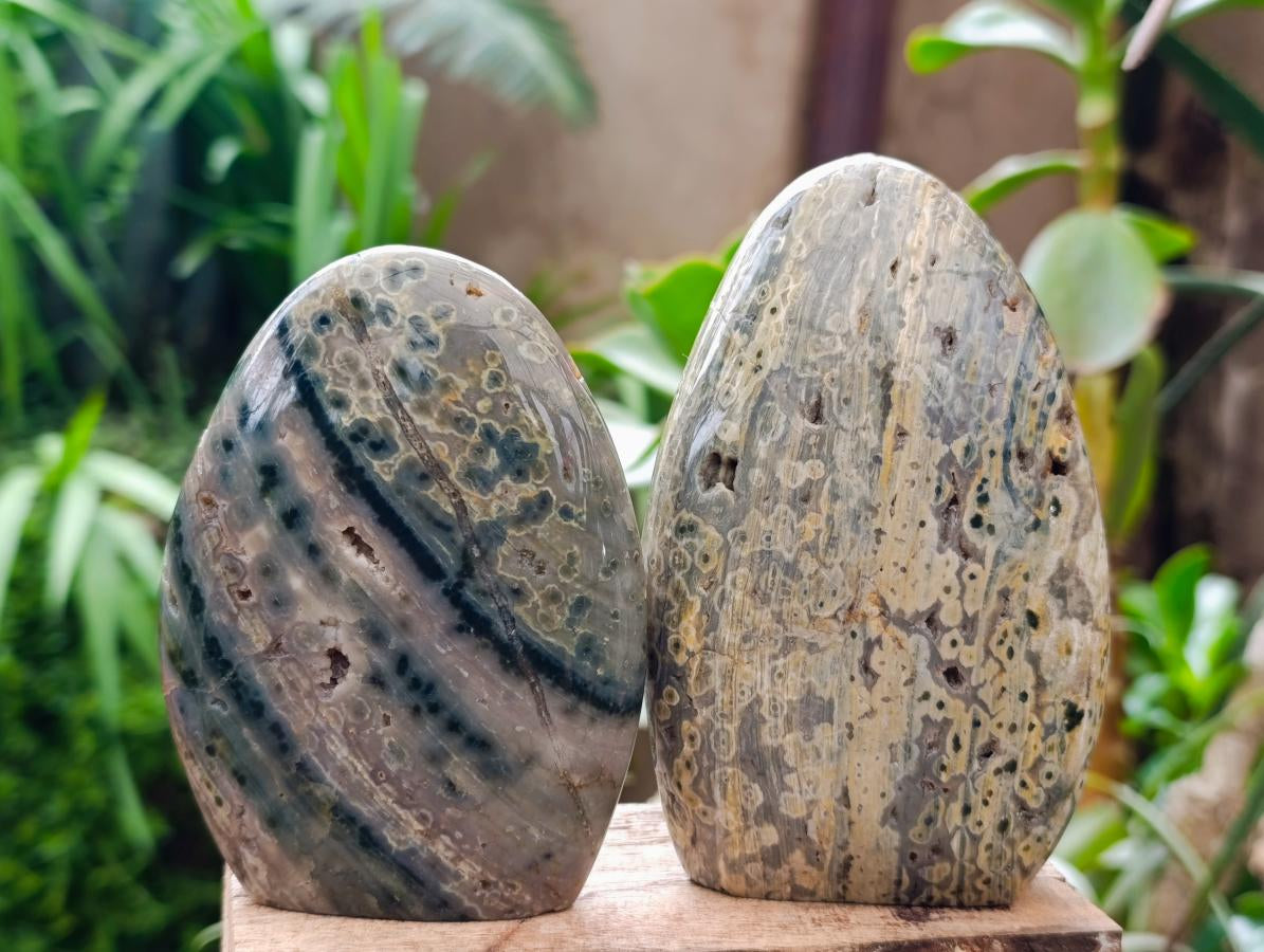 Polished Ocean Jasper Standing Free Forms x 2 From Northwest Coast, Madagascar