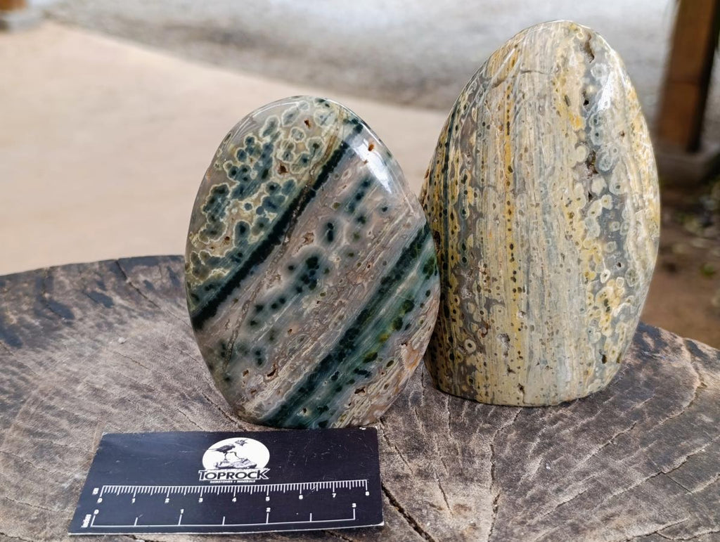 Polished Ocean Jasper Standing Free Forms x 2 From Northwest Coast, Madagascar