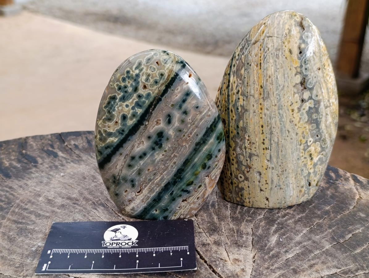 Polished Ocean Jasper Standing Free Forms x 2 From Northwest Coast, Madagascar