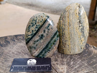 Polished Ocean Jasper Standing Free Forms x 2 From Northwest Coast, Madagascar