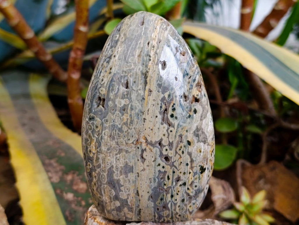 Polished Ocean Jasper Standing Free Forms x 2 From Northwest Coast, Madagascar