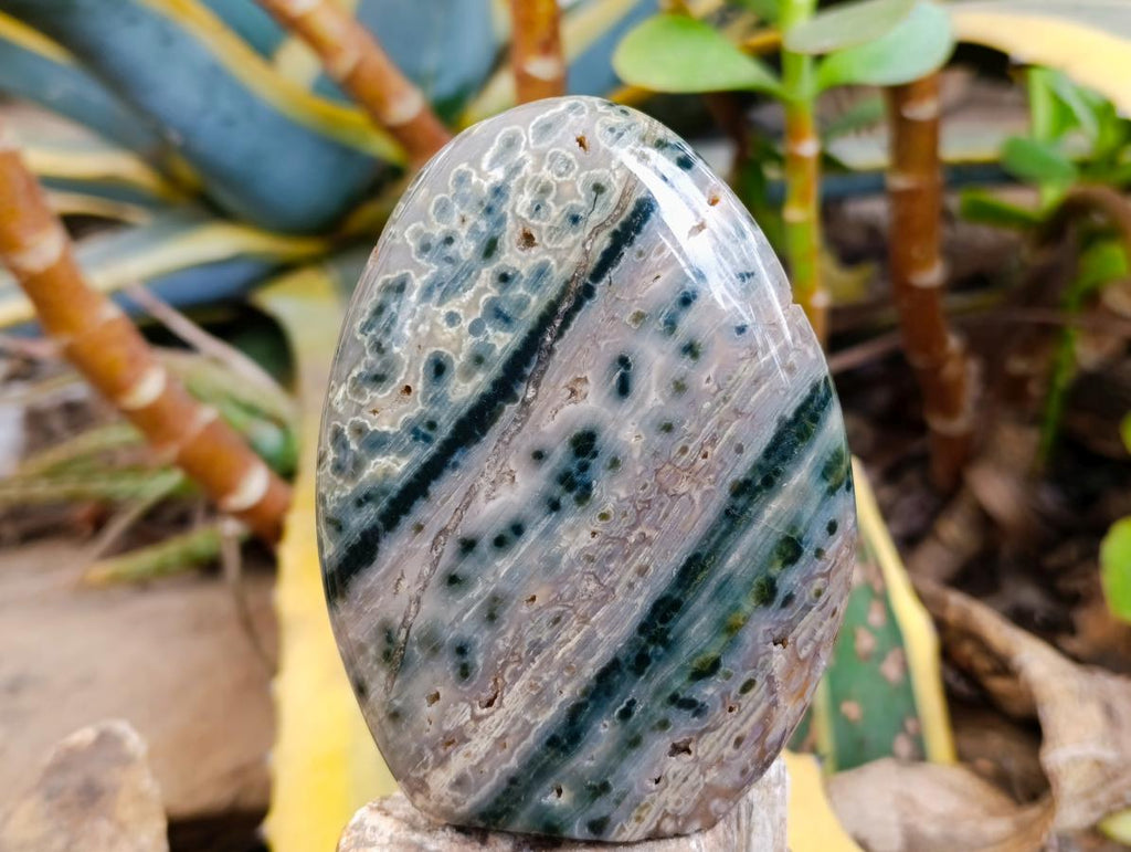 Polished Ocean Jasper Standing Free Forms x 2 From Northwest Coast, Madagascar