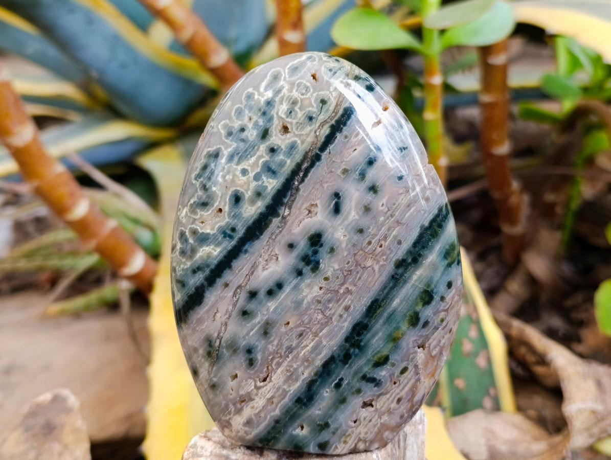 Polished Ocean Jasper Standing Free Forms x 2 From Northwest Coast, Madagascar