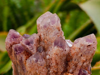 Natural Sugar Amethyst Clusters x 6 From Zambia