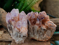 Natural Sugar Amethyst Clusters x 6 From Zambia