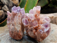 Natural Sugar Amethyst Clusters x 6 From Zambia
