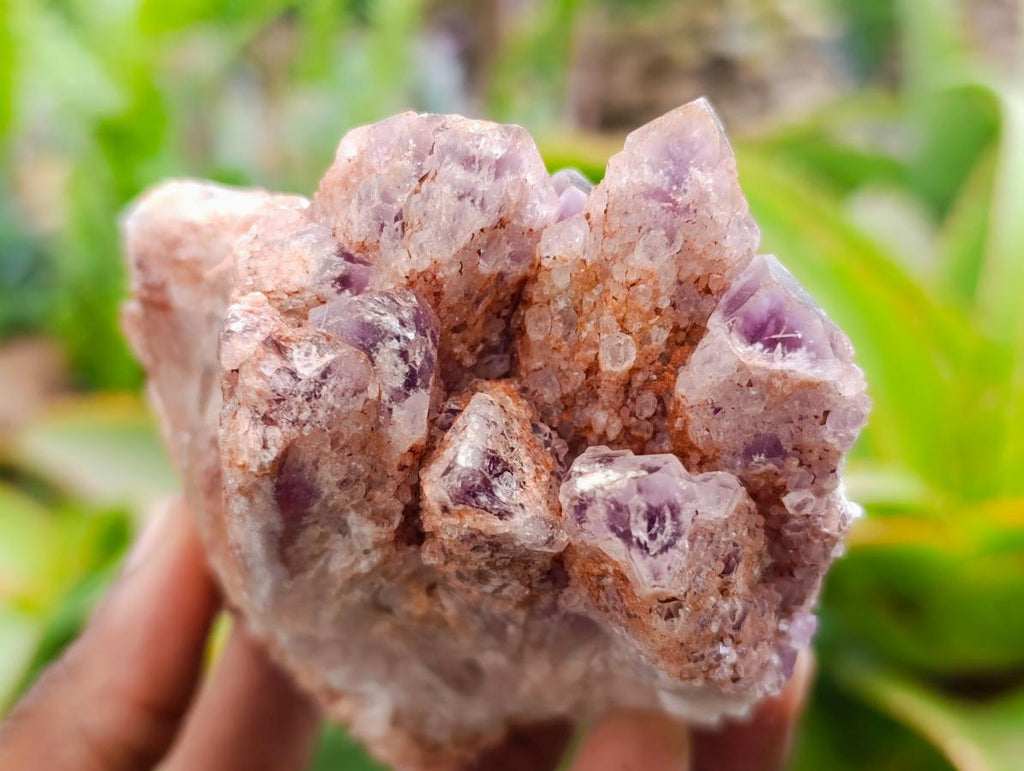 Natural Sugar Amethyst Clusters x 6 From Zambia