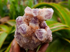 Natural Sugar Amethyst Clusters x 6 From Zambia