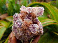 Natural Sugar Amethyst Clusters x 6 From Zambia