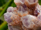Natural Sugar Amethyst Clusters x 6 From Zambia