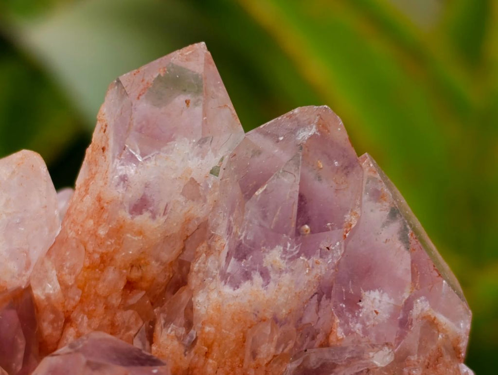 Natural Sugar Amethyst Clusters x 6 From Zambia