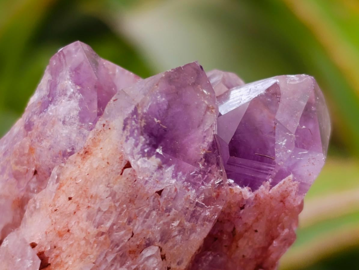 Natural Sugar Amethyst Clusters x 6 From Zambia